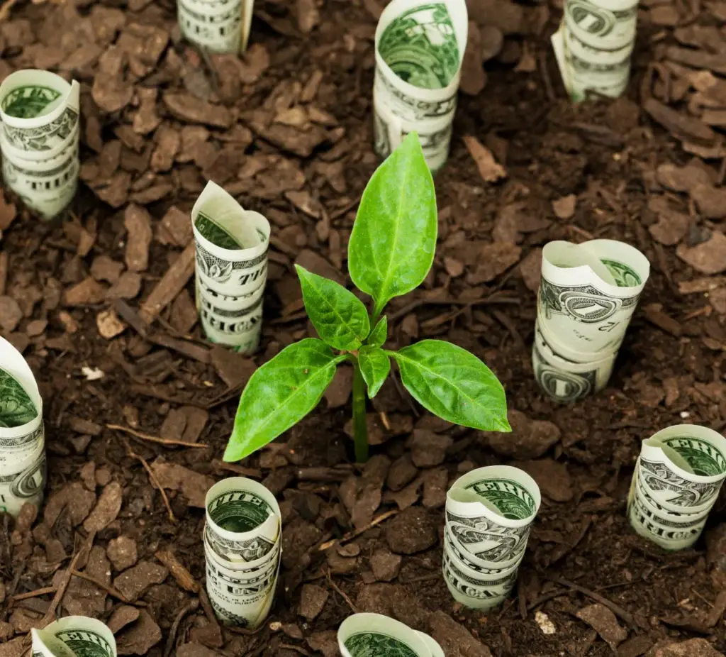 Sustainable finance and resilience reporting insights