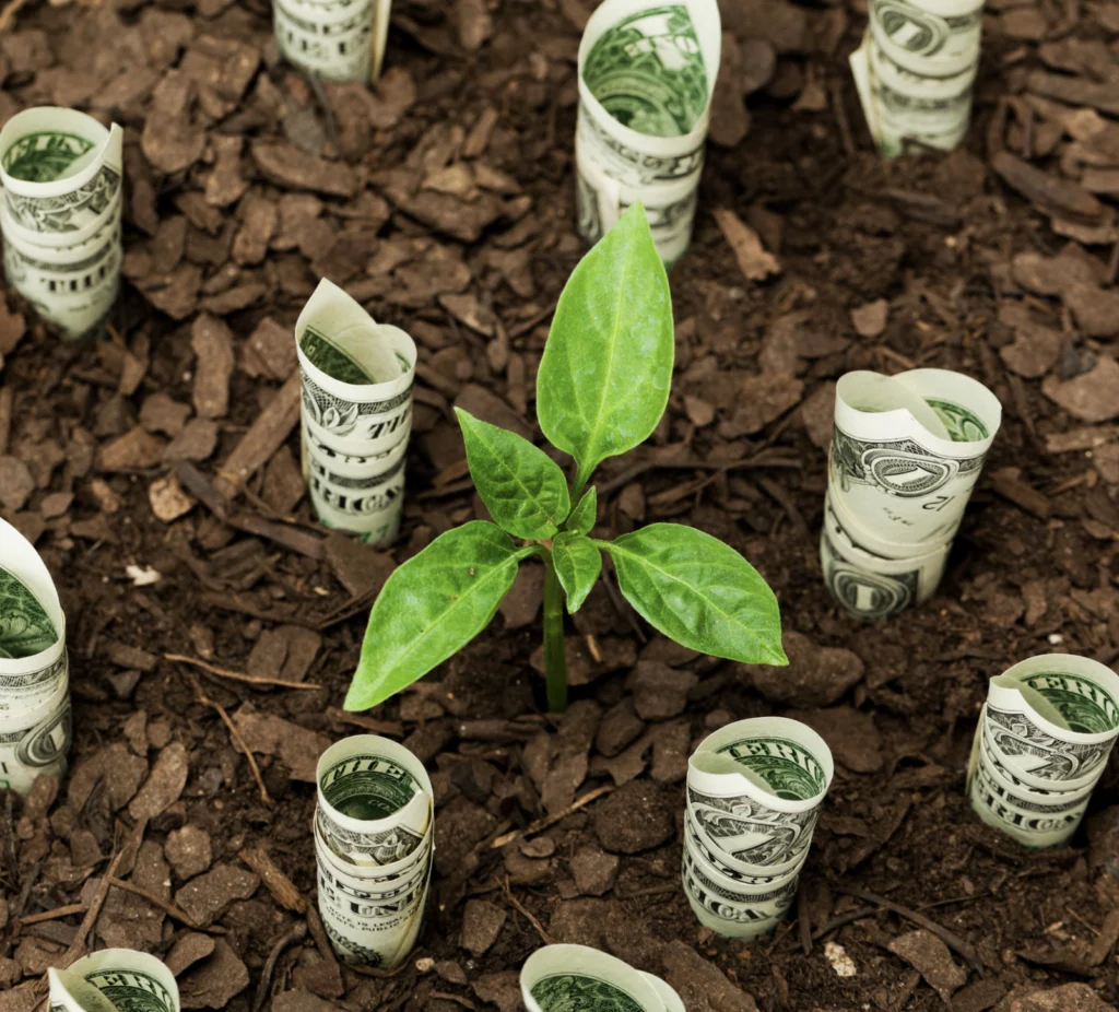 Sustainable finance and resilience reporting insights