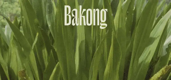2021 Bakong Design Challenge