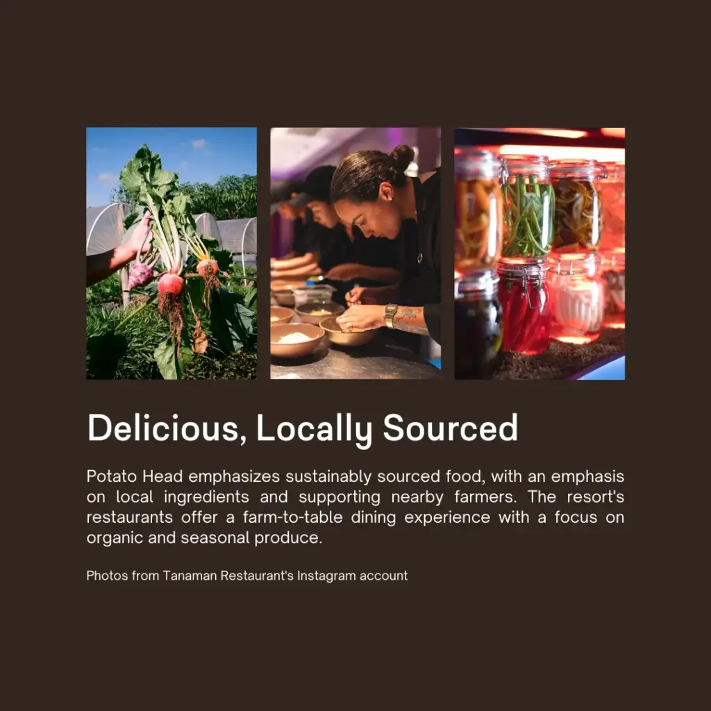 Potato Head Desa: Pioneering a Circular Future - A Sustainable Eco-Resort in Bali - slide 5