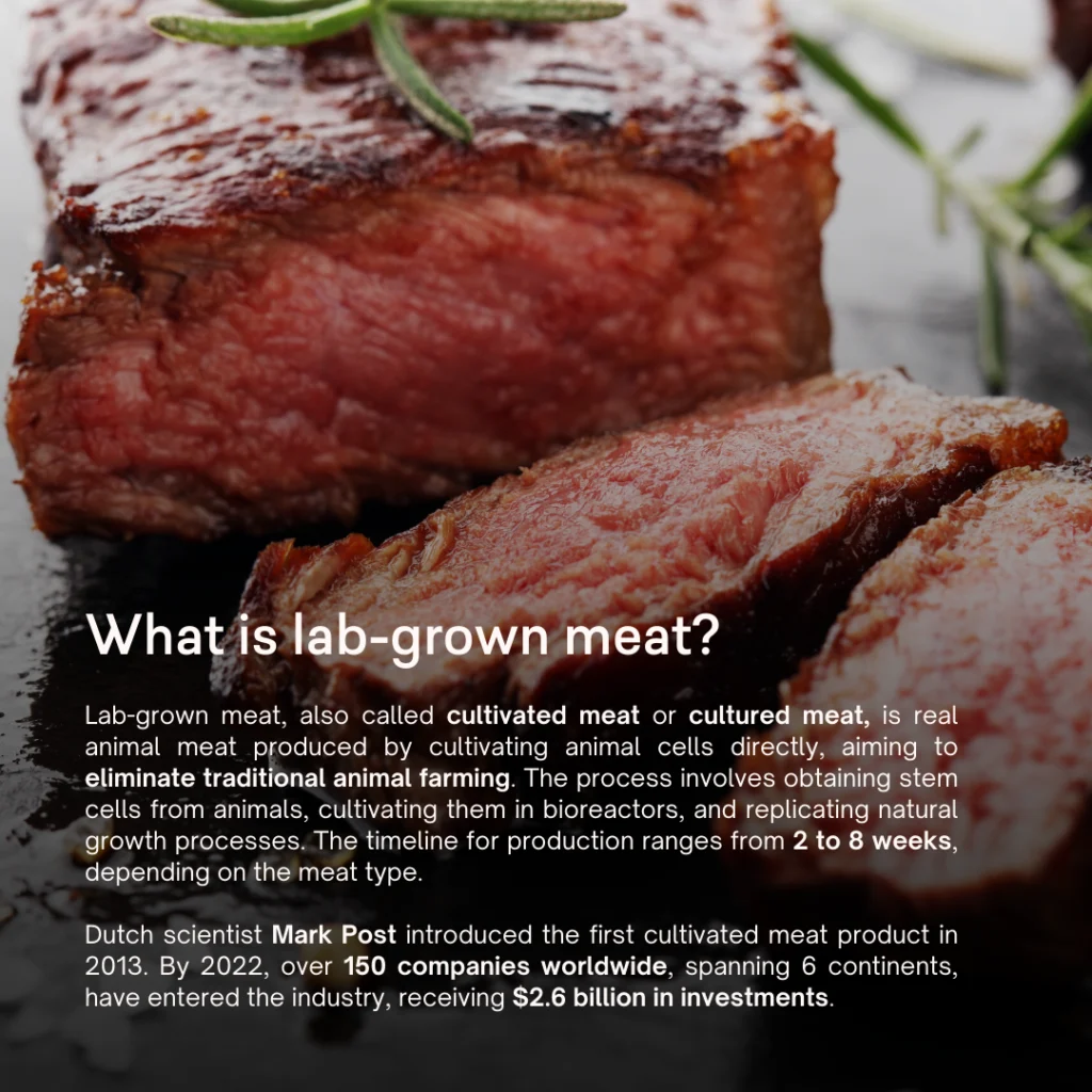 Would you try lab-grown meat?