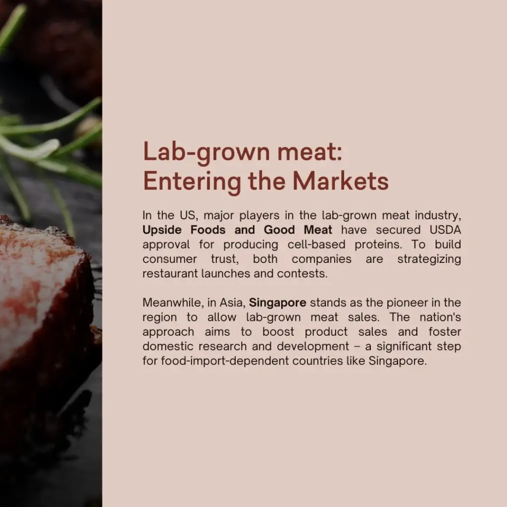 Would you try lab-grown meat? - slide 2