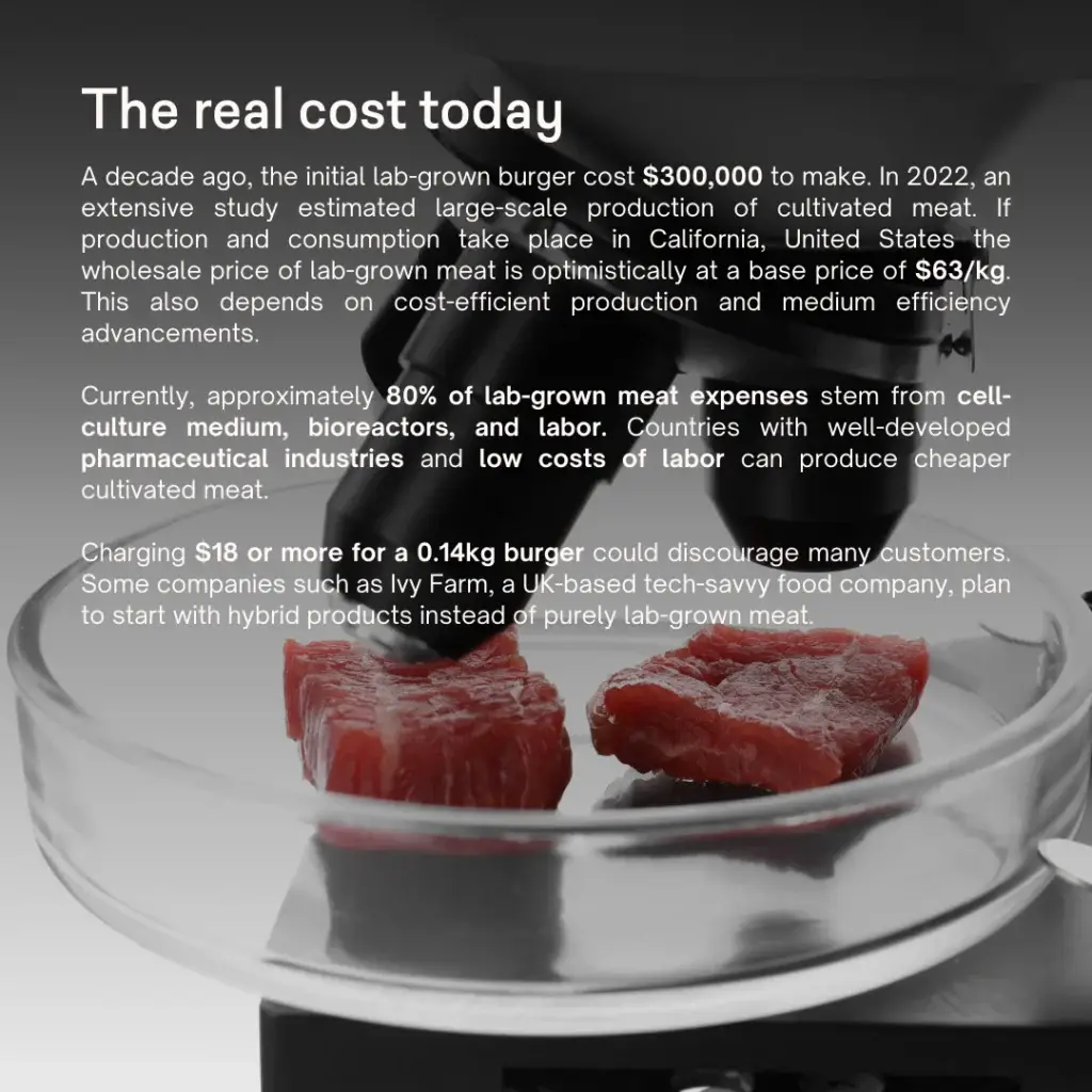 Would you try lab-grown meat? - slide 4