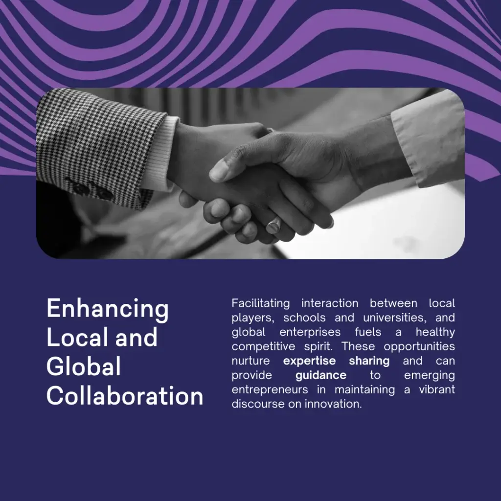 Does Government Involvement Truly Enhance Tech Ecosystems? - slide 4