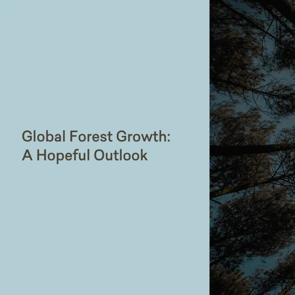 Global Forest Growth: A Hopeful Outlook - slide 1