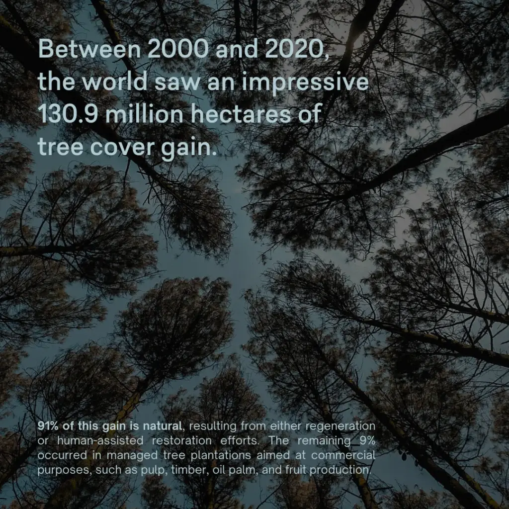 Global Forest Growth: A Hopeful Outlook - slide 2
