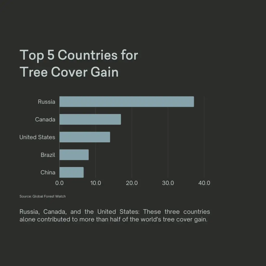 Global Forest Growth: A Hopeful Outlook - slide 3