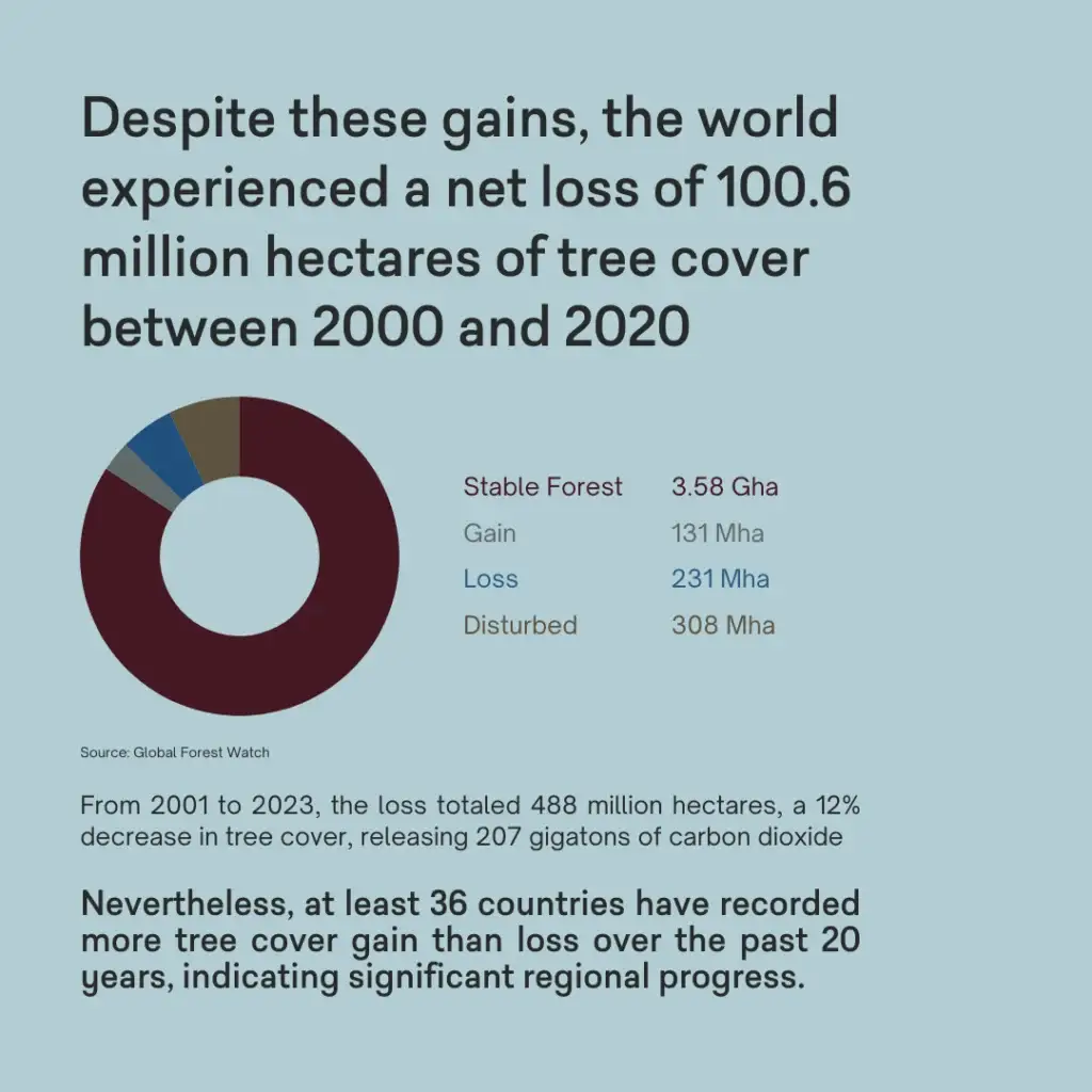 Global Forest Growth: A Hopeful Outlook - slide 5