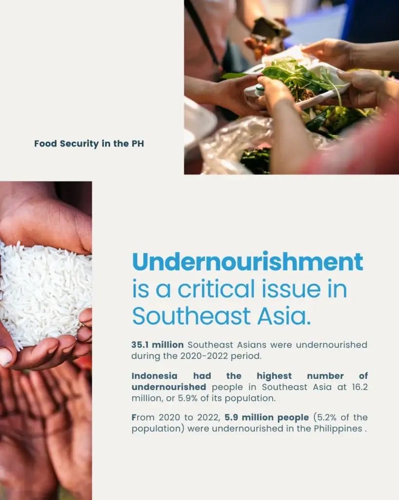 Food Security in the Philippines: A Growing Challenge - slide 3