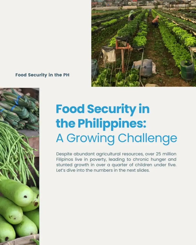 Food Security in the Philippines: A Growing Challenge
