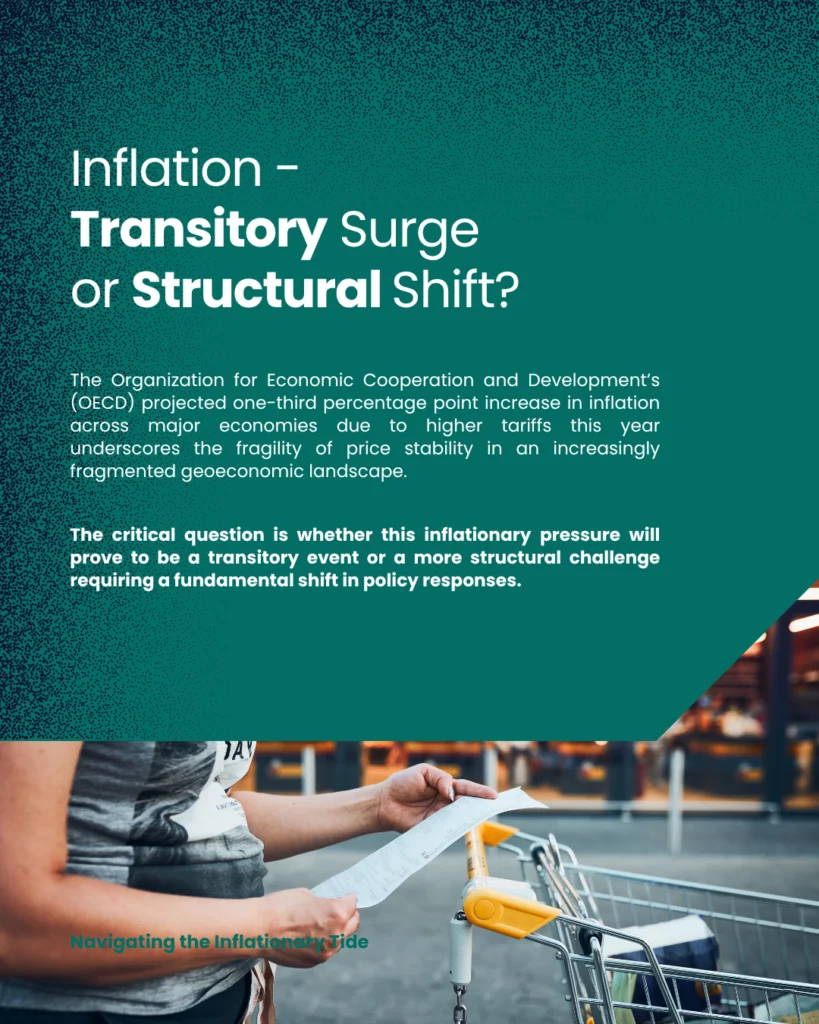 Navigating the Inflationary Tide - slide 4
