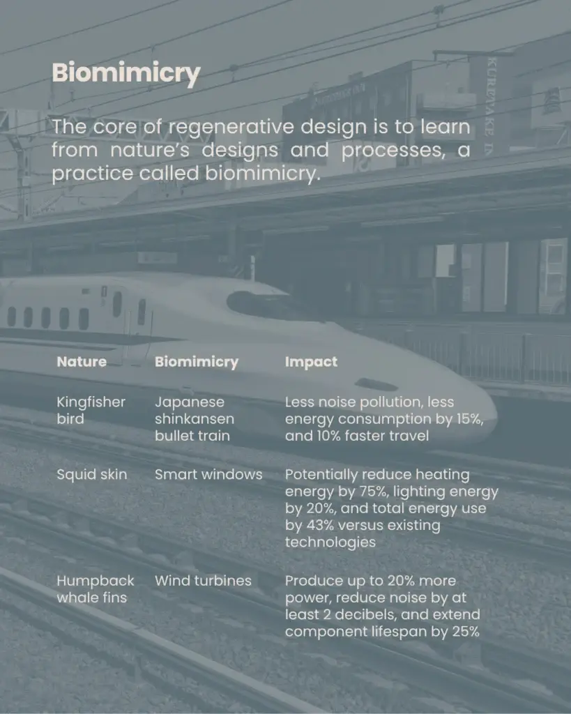 Time to Regenerate - slide 3